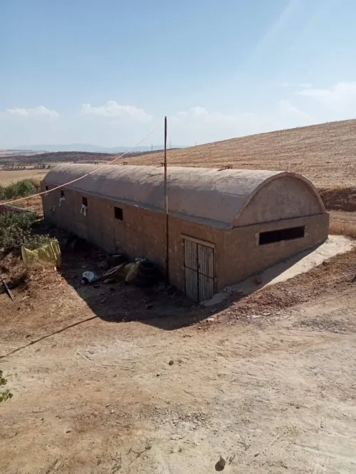 Location Hangar Bouira Ain el hadjar