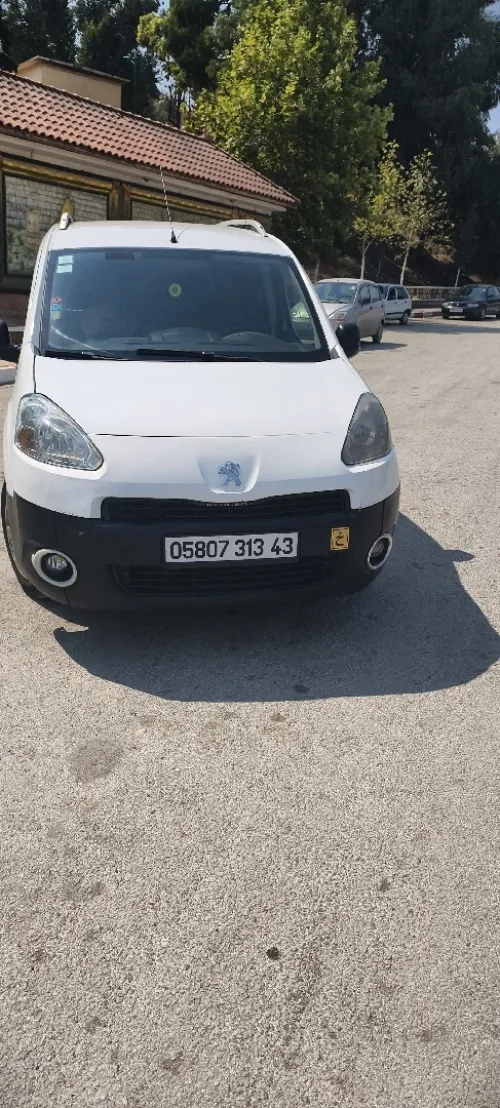 Peugeot Partner 2013 Tepee