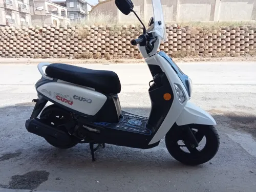 Cuxi 2 linhai Linhai 2021