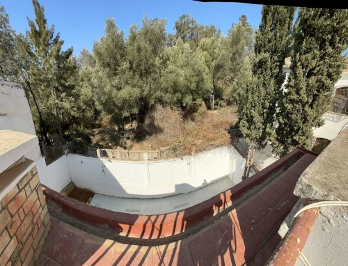 Vente Villa Alger Dely brahim