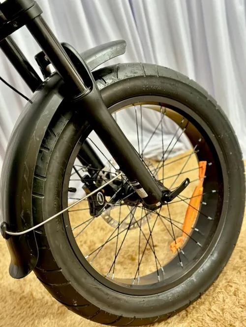 Vélo Électrique ( Fatbike ) EB8 Pro 2025