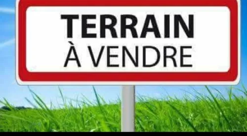 Vente Terrain Alger Cheraga