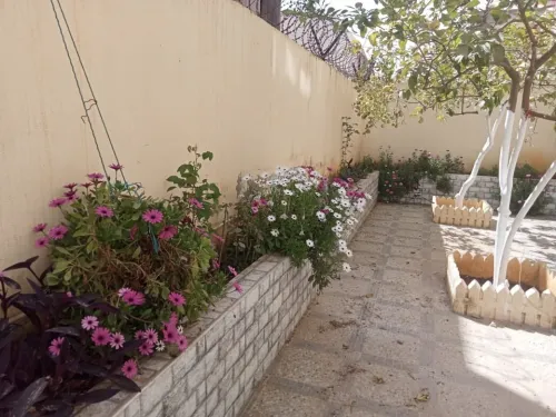 Location Villa Alger Cheraga