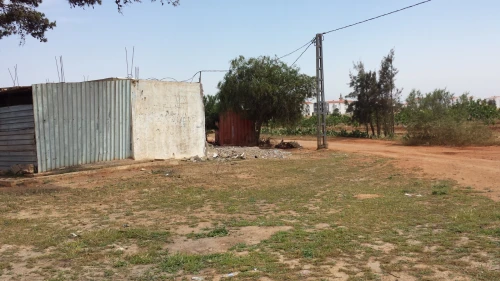 Vente Terrain Oran Hassi mefsoukh