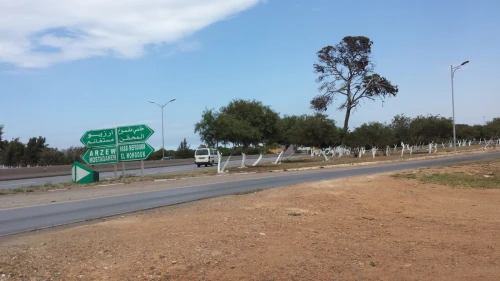 Vente Terrain Oran Hassi mefsoukh