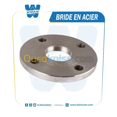 BRIDE EN ACIER 