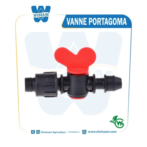 Mini Vannes