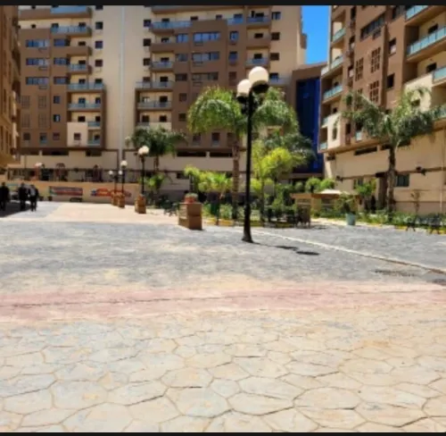 Location Appartement F4 Alger Cheraga