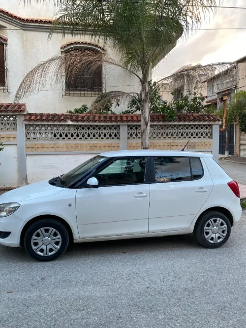 Skoda Fabia 2014 Fresh