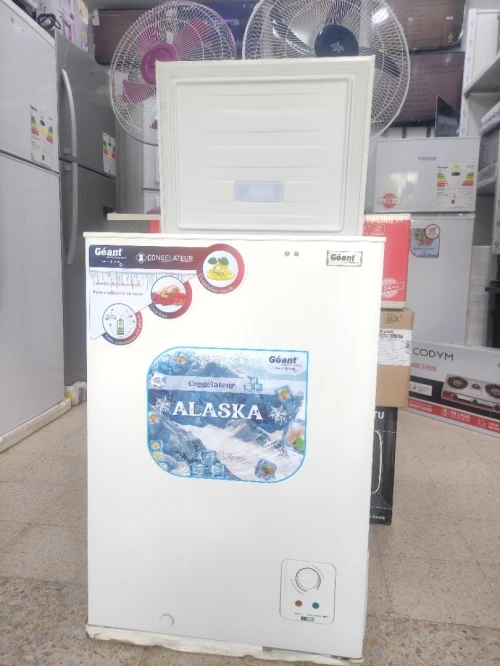 Congélateur Geant 167L 