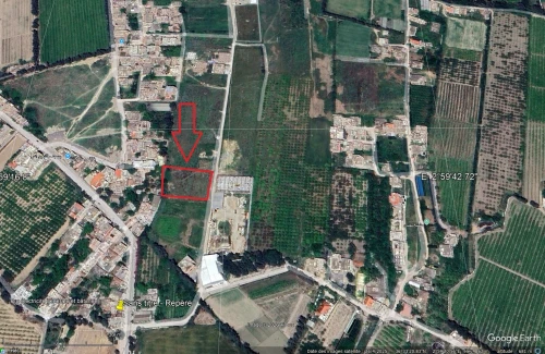 Location Terrain Blida Chebli