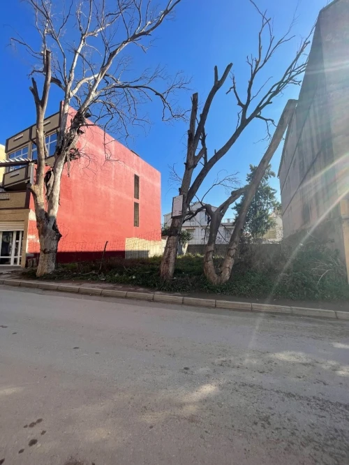 Vente Terrain Alger Bouzareah