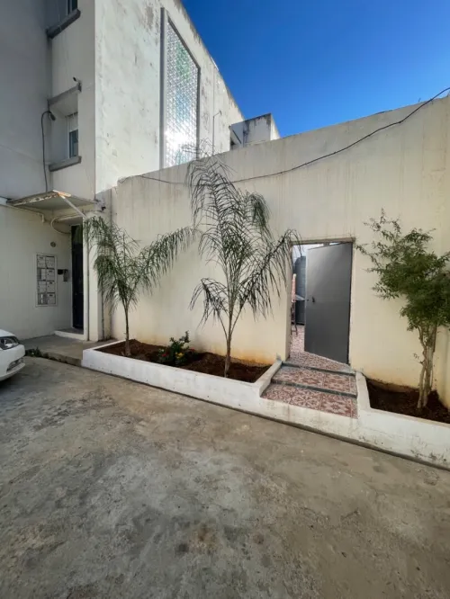 Location Appartement F3 Alger Ben aknoun