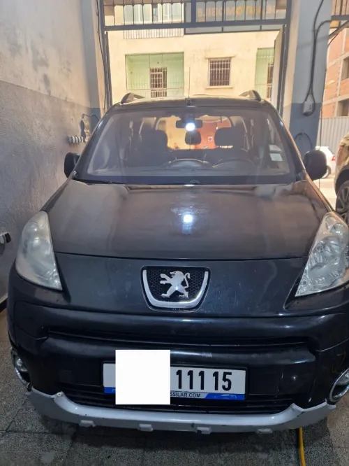 Peugeot Partner 2011 Tepee