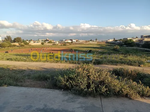 Vente Terrain Tipaza Kolea