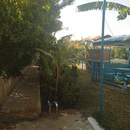Vente Terrain Agricole Laghouat Laghouat