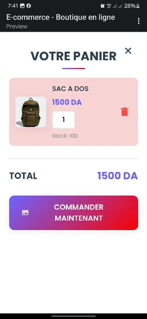 Développeur Web Freelance Création & Réparation sur Mesure