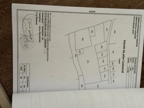 Vente Terrain Sétif Ain sebt