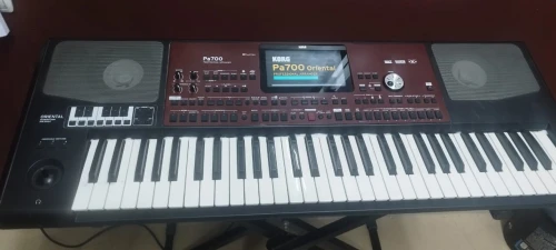 Korg pa 700