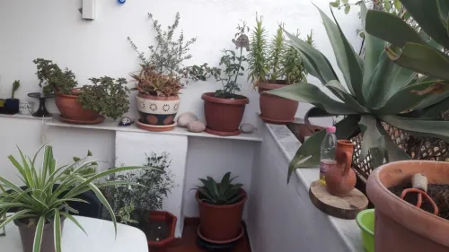 Vente Appartement Duplex F4 Alger Birkhadem
