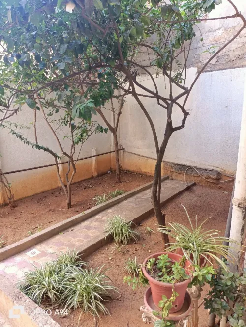 Vente Villa Alger Kouba