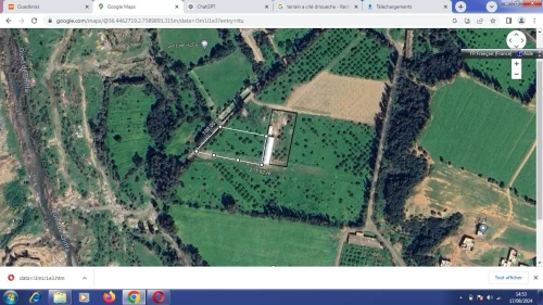 Vente Terrain Blida Bouarfa
