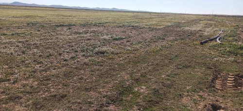 Vente Terrain Agricole Djelfa Birine