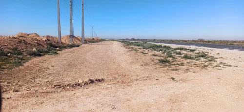 Vente Terrain Agricole Djelfa Birine