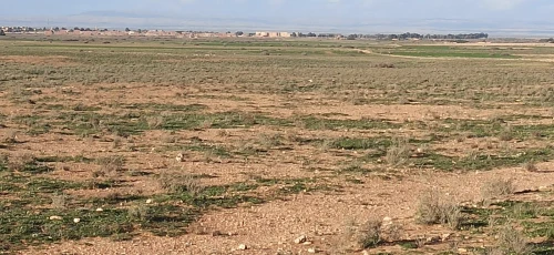 Vente Terrain Agricole Djelfa Benhar