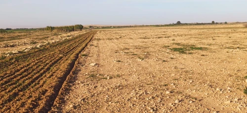 Vente Terrain Agricole Djelfa Ain oussara