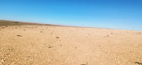 Vente Terrain Agricole Djelfa Ain oussara