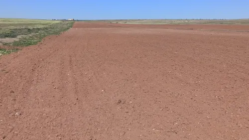 Vente Terrain Agricole Djelfa Birine