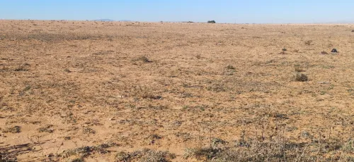 Vente Terrain Agricole Djelfa Ain oussara