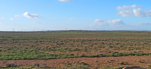 Vente Terrain Agricole Djelfa Benhar