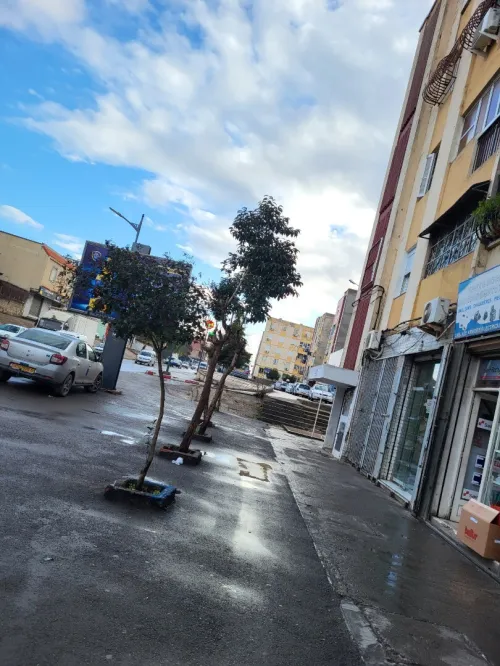 Vente Appartement F3 Sétif Setif