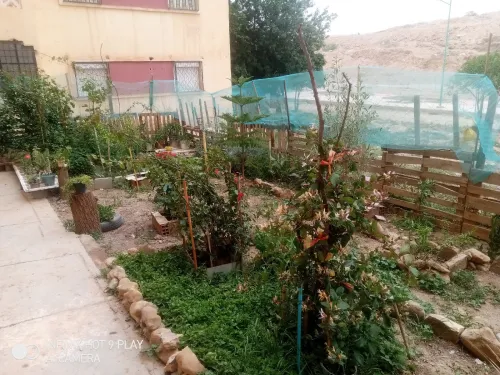 Vente Appartement F3 Saïda Saida