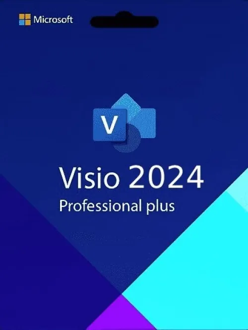 Microsoft Office Project Et Viso Pro 2024 Bind