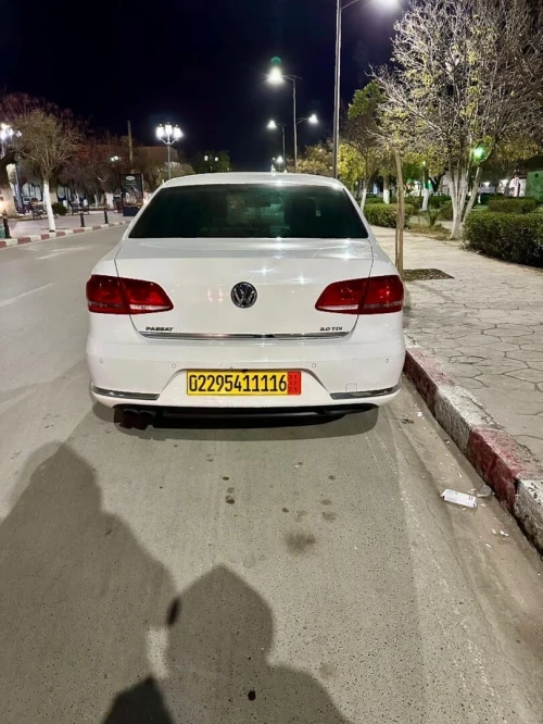 Volkswagen Passat 2011 Passat