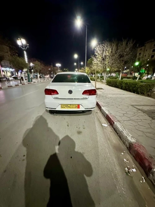 Volkswagen Passat 2011 Passat