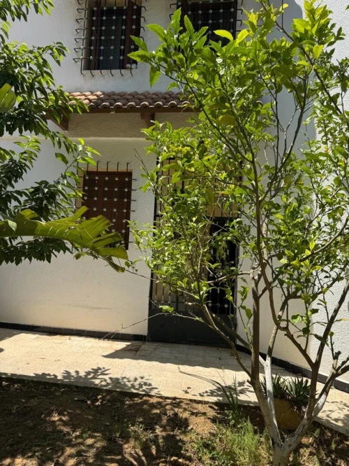 Vente Villa Alger Bouzareah