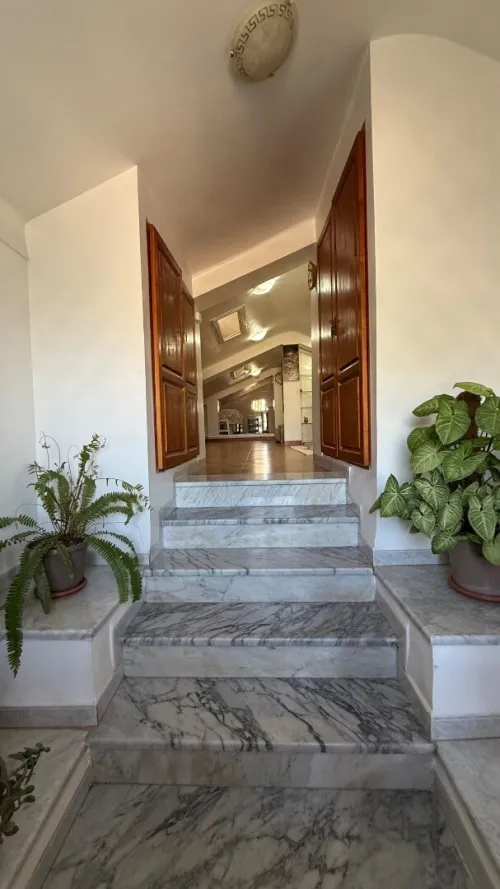 Location Appartement Studio Alger El biar