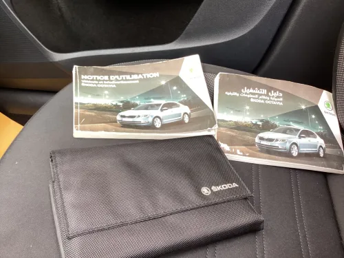 Skoda Octavia 2019 Clever