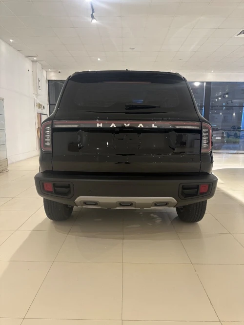 HAVAL Big dog 2025 Labrador edition
