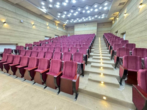 Fauteuils De Conférence / Chaises De Stade