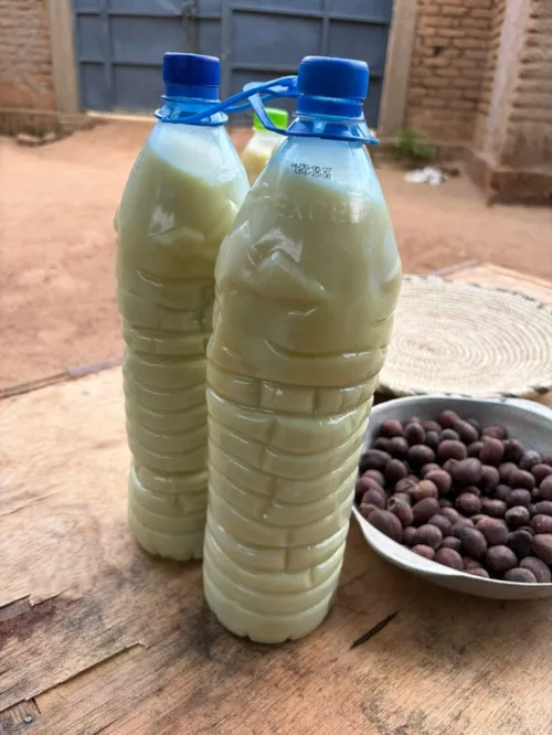 زبدة الشيا