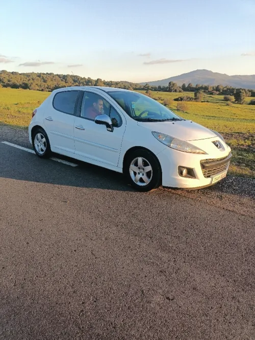 Peugeot 207 2012 New Active