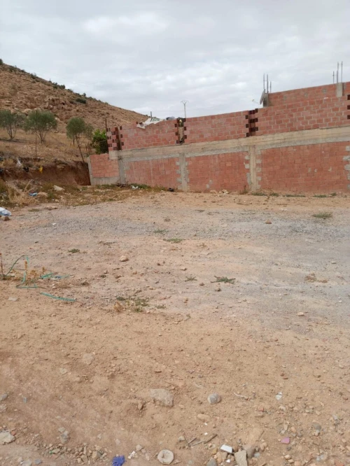 Vente Terrain Batna Merouana
