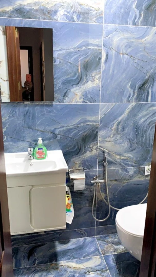 Vente Appartement Alger Dely brahim