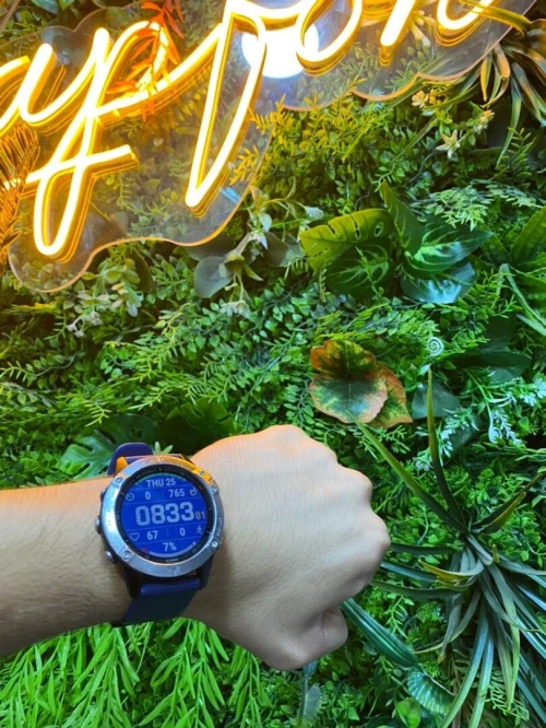GARMIN FENIX 6 GORILLA GLASS