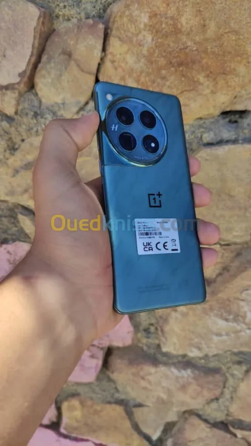 Oneplus Oneplus 12